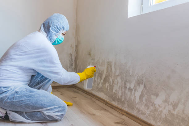 Hvac And Air Duct Mold Remediation inspection of HVAC system in Oakland Mills
