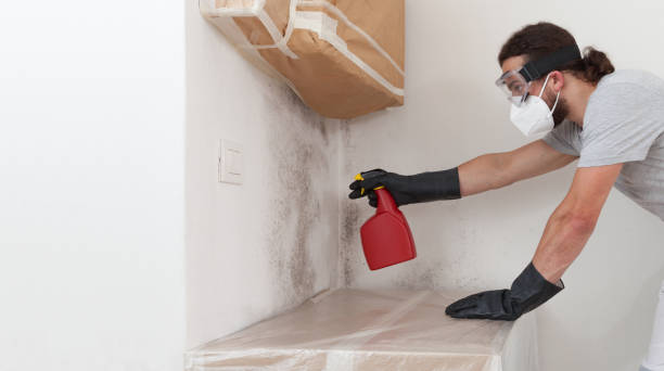 Basement Mold Remediation treatment on basement walls in Oakland Mills